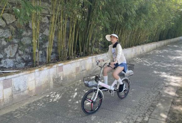 Hoa hậu Hương Giang, sao Việt