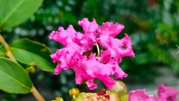 Thứ thực sự thay đổi số phận của bạn, cuộc đời cần biết điều này, những điều cần biết trong đời