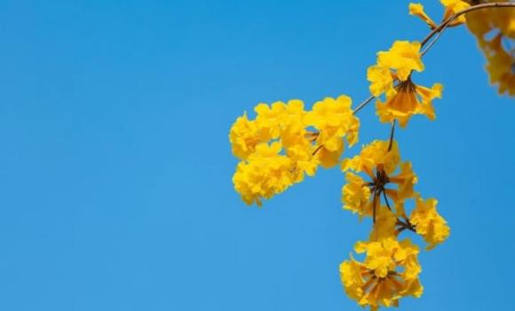 Cách sống thông minh, ít đăng bài lên mạng xã hội, không có lời phán xét