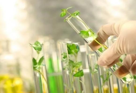 Bốn ngành nghề giàu có trong 5 năm tới,Công nghệ sinh học và y tế, Năng lượng tái tạo và công nghệ xanh
