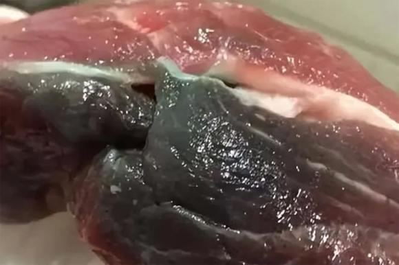 thịt bò, thịt bò màu xanh