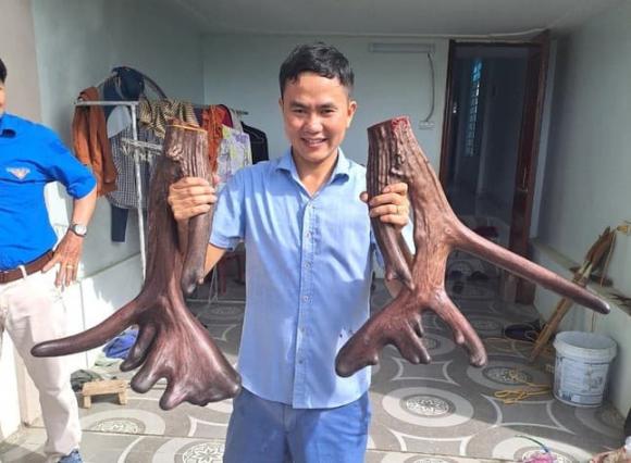 Nhung nai, nhung nai khủng, cặp nai khủng ở nghệ an