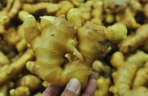củ gừng, gừng ngon, mẹo vặt gia đình