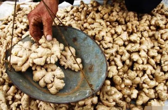 củ gừng, gừng ngon, mẹo vặt gia đình