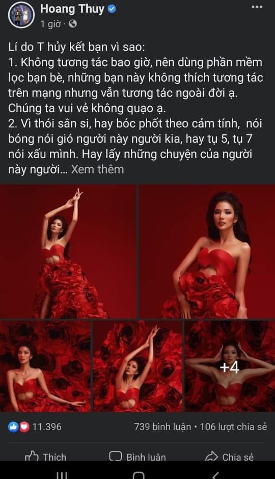 siêu mẫu Hoàng Thùy, sao Việt