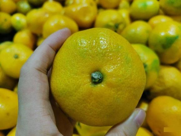 bí quyết chọn cam, cách chọn cam ngon, bí quyết mua hoa quả ngon