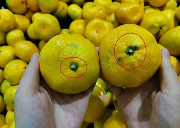 bí quyết chọn cam, cách chọn cam ngon, bí quyết mua hoa quả ngon