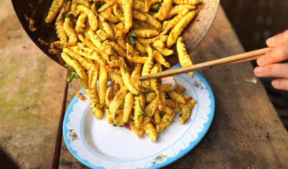 đặc sản phú thọ, tằm rang, món tằm rang, món ngon