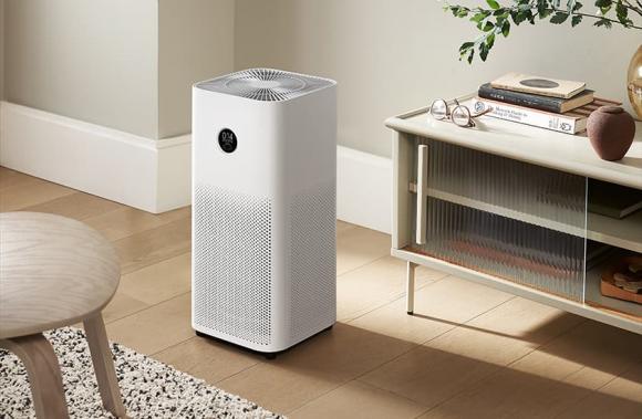 nhà ẩm mốc, dọn nhà sau lũ, kiến thức 