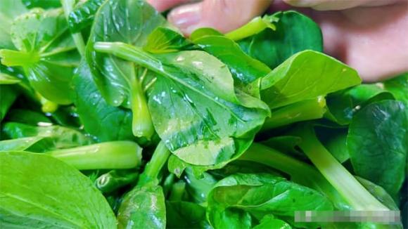 cải chíp, giảm cân