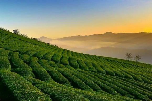 Tỉnh nhắc đến con rồng trong đầm nước, tỉnh lâm đồng