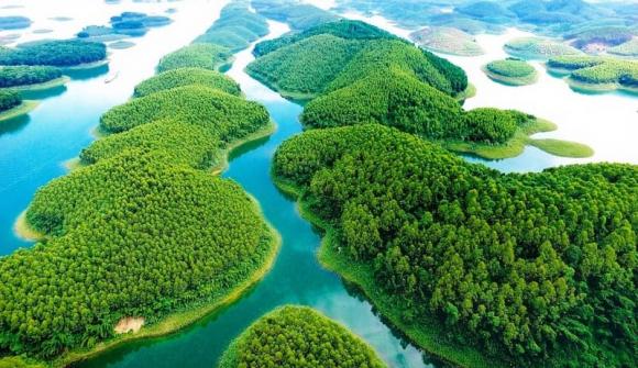 Tỉnh việt nam vừa giàu vừa sống lâu, tỉnh phú thọ