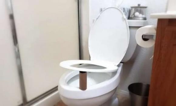 lõi giấy vệ sinh, đặt lõi giấy trống dưới bệ toilet, lý do nên làm điều này