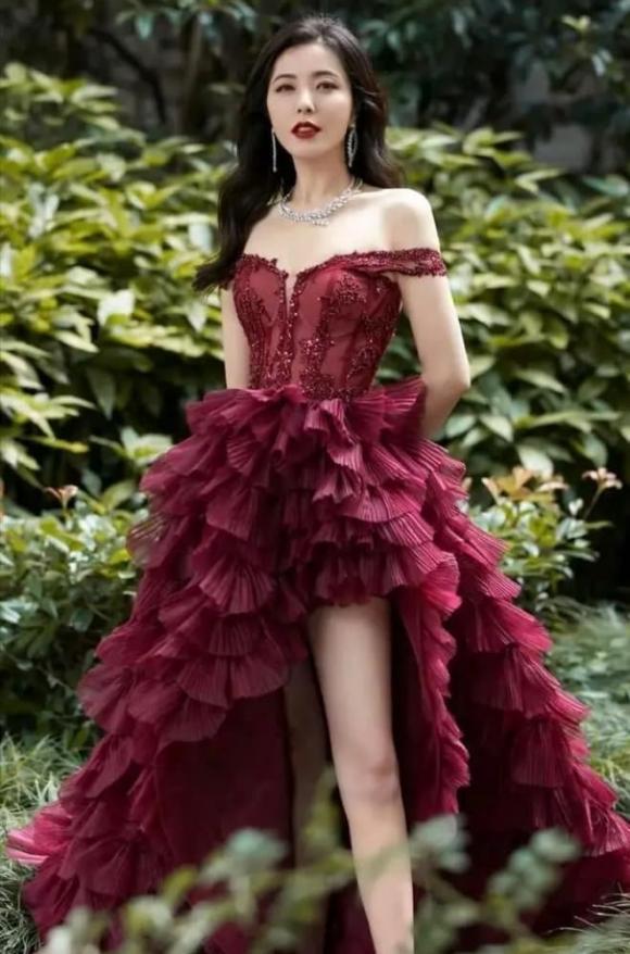 Tăng Lê, người đẹp hàng trăm năm mới có một, độc thân tuổi 48, sao Hoa ngữ
