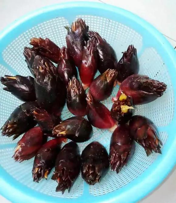 Măng lai gừng, gừng danh hà, gừng trung quốc