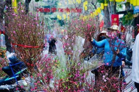 Lịch nghỉ tết nguyên đán ất tỵ, tết 2025, nghỉ lễ 30/4