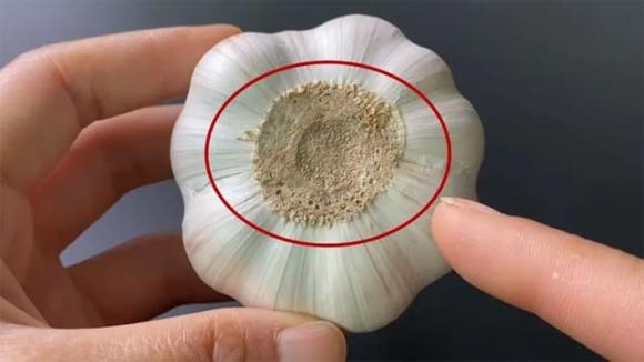tỏi, bóc tỏi, mẹo hay