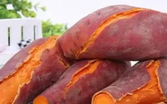 khoai lang, mẹo chọn khoai lang, món ngon từ khoai
