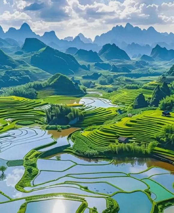 Trắc nghiệm tâm lý