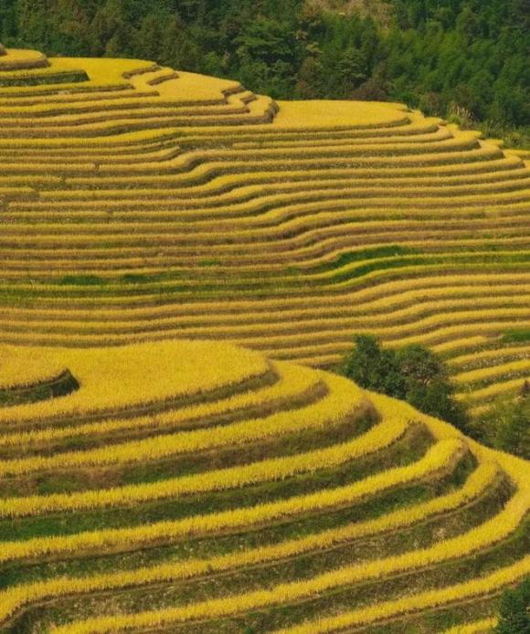 Trắc nghiệm tâm lý