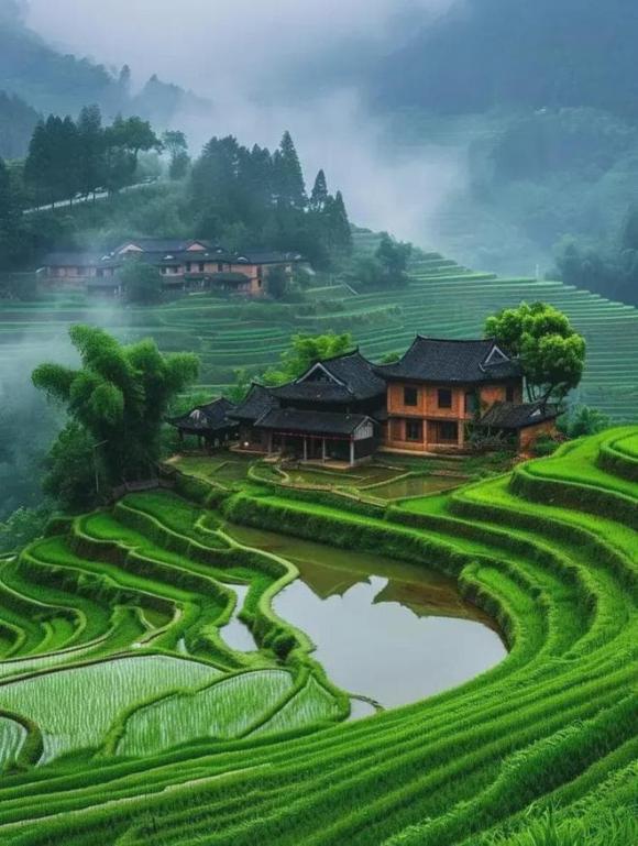 Trắc nghiệm tâm lý