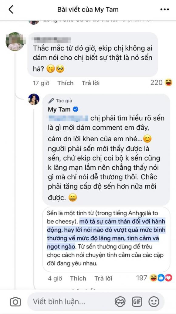 ca sĩ Mỹ Tâm, Mỹ Tâm, sao Việt