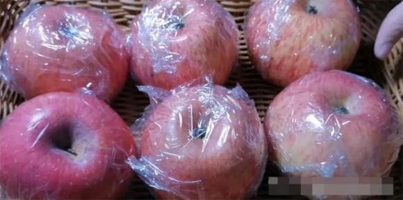 Bảo quản táo, bảo quản