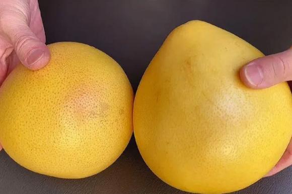 Chọn bưởi, cách chọn bưởi, chọn bưởi ngọt, bảo quản bưởi