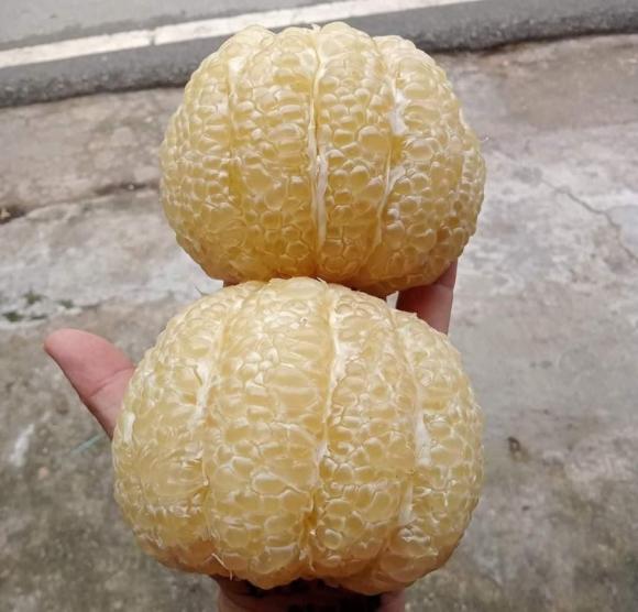 Chọn bưởi, cách chọn bưởi, chọn bưởi ngọt, bảo quản bưởi