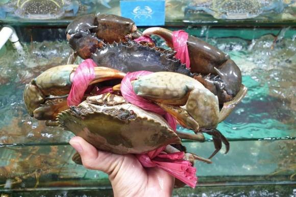 mẹo mua cua, cua buộc dây