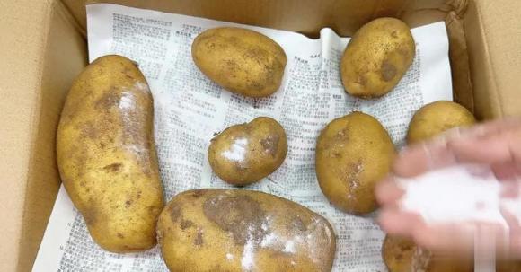 khoai tây, bảo quản khoai tây