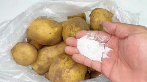 khoai tây, bảo quản khoai tây