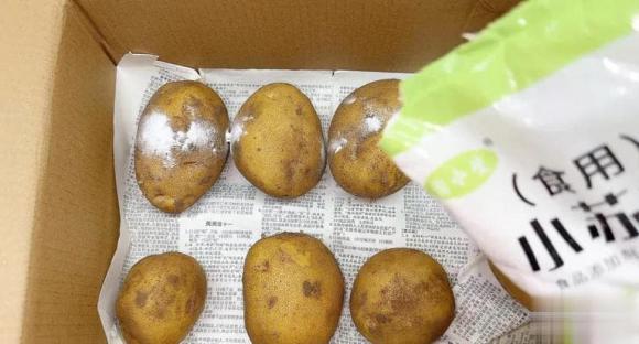 khoai tây, bảo quản khoai tây