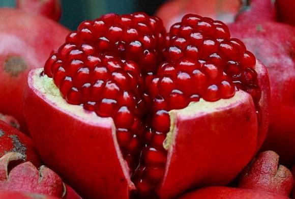 cây cát  tường, trồng cây trong nhà