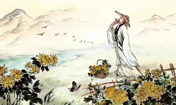 Người sợ ngẩng đầu, chó sợ đưa tay ra sau lưng, triết lý nhân sinh