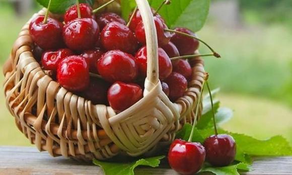 lưu ý khi chọn trái cây, trái cây chín ép, các loại trái cây chín ép