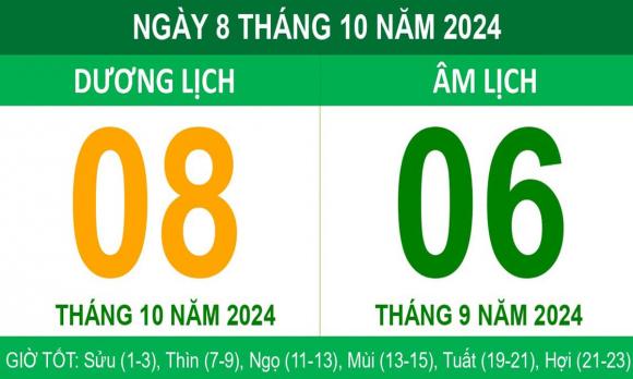 bão, cây cau, cây dừa, cây đổ sau bão, cây cau không đổ, kiến thức 