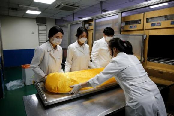Nghề nghiệp khó lấy chồng, Con gái học nghề gì, kiến thức