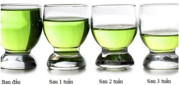 Tại sao nước lại bay hơi ở nhiệt độ phòng dù không bị đun nóng, nhà bị nồm ẩm, tại sao