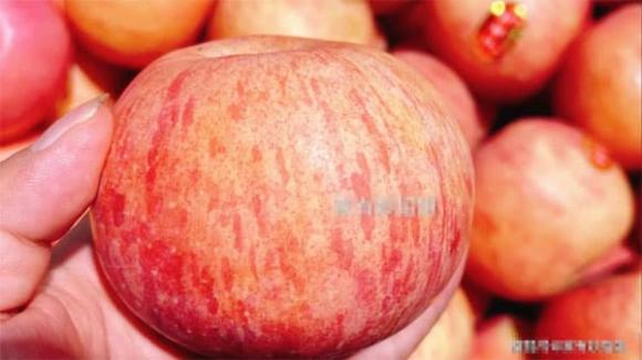 mẹo chọn táo, cách chọn táo ngon, mẹo chọn hoa quả
