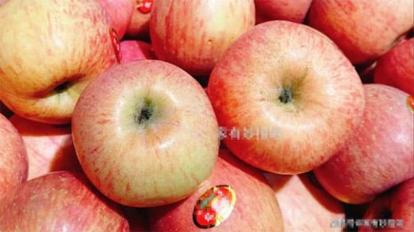 mẹo chọn táo, cách chọn táo ngon, mẹo chọn hoa quả