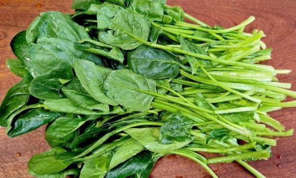 thực phẩm tốt cho gan, thực phẩm giải độc gan, tác dụng của táo đỏ