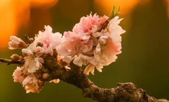 bất hiếu, lý do con cái bất hiếu