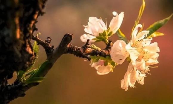 bất hiếu, lý do con cái bất hiếu