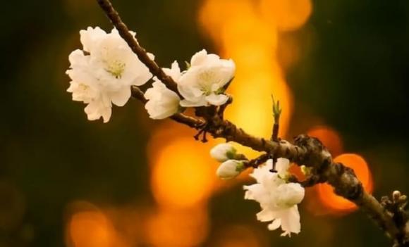 bất hiếu, lý do con cái bất hiếu