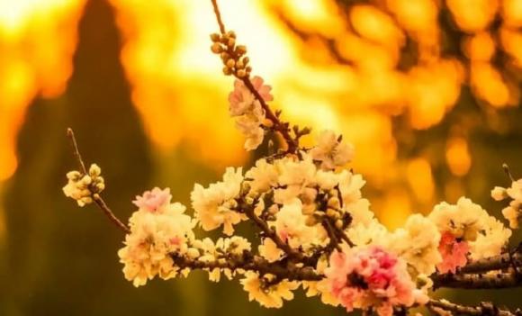 bất hiếu, lý do con cái bất hiếu