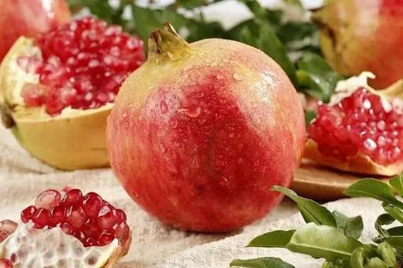 công dụng của lựu, quả lựu, ngừa ung thư