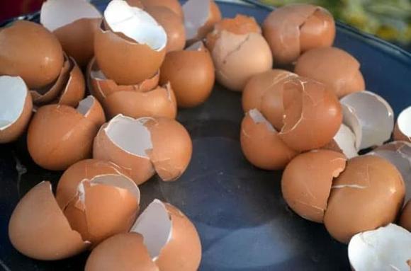 cách làm sạch chai dầu ăn, làm sạch chai dầu ăn, Mẹo vệ sinh chai dầu ăn để tái sử dụng