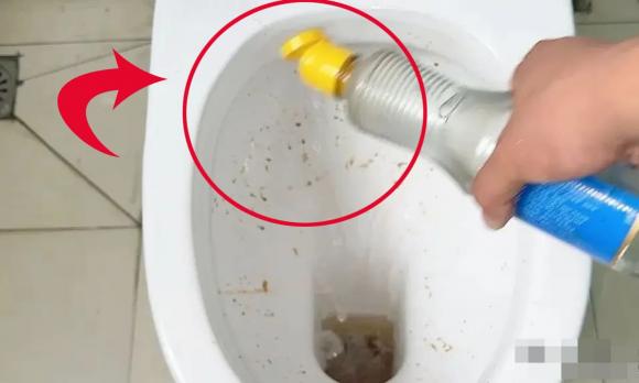 bồn cầu, nhà vệ sinh, 