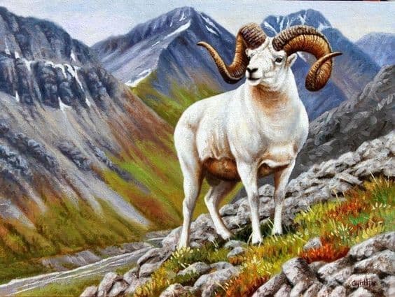 Tử vi, con giáp, tử vi hàng ngày, tử vi ngày 13/10/2024